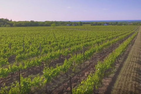 Macedon Ranges Small Group Wine Tour With 2 Course Lunch And Morning Tea - Accommodation QLD 1