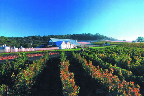Macedon Ranges Small Group Wine Tour With 2 Course Lunch And Morning Tea - Accommodation QLD 4