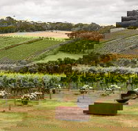 Montalto Vineyard Mornington Peninsula Discovery Wine Tasting and Lunch - Accommodation QLD