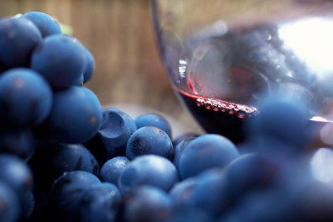 Ultimate Mornington Peninsula Food And Wine Small Group Tour - Accommodation QLD 1