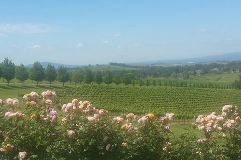 Ultimate Mornington Peninsula Food And Wine Small Group Tour - Accommodation QLD 0