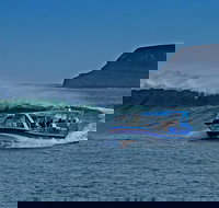 Phillip Island Wildlife Cruise with Optional Penguin Parade and 3 Park Pass - Accommodation QLD