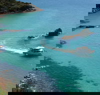 Cape Woolamai Sightseeing Cruise from San Remo - Accommodation QLD