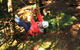 Tree Ropes And Zipline Experience In The Dandenong Ranges - thumb 0