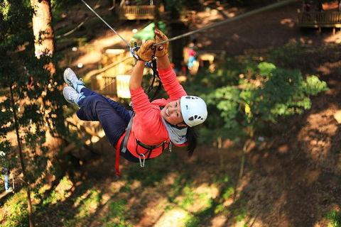 Tree Ropes And Zipline Experience In The Dandenong Ranges - Accommodation QLD 0