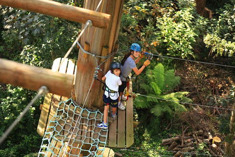 Tree Ropes And Zipline Experience In The Dandenong Ranges - Accommodation QLD 1