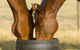 Living Legends And Lunch - thumb 0