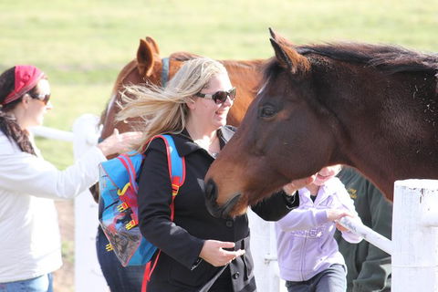 Living Legends And Lunch - Accommodation QLD 1