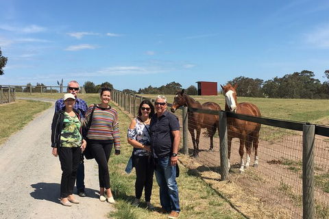 Living Legends And Lunch - Accommodation QLD 4