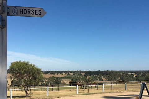 Living Legends And Lunch - Accommodation QLD 3