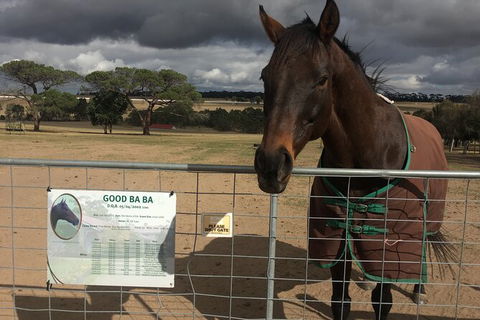 Living Legends And Lunch - Accommodation QLD 7