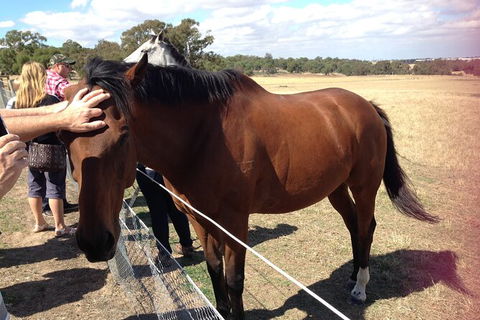 Living Legends And Lunch - Accommodation QLD 6
