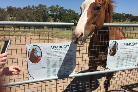 Living Legends And Lunch - Accommodation QLD 5