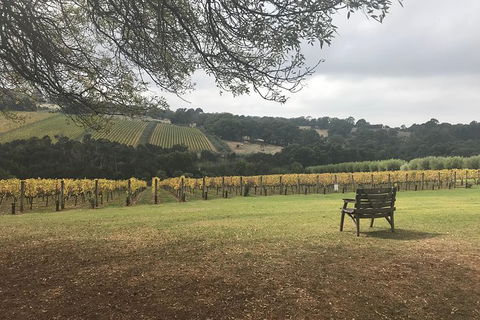 Rick's Wine Tours - Accommodation QLD 1