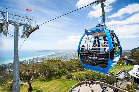 Around The Bay Food And Wine Taste Trail - Accommodation QLD 1