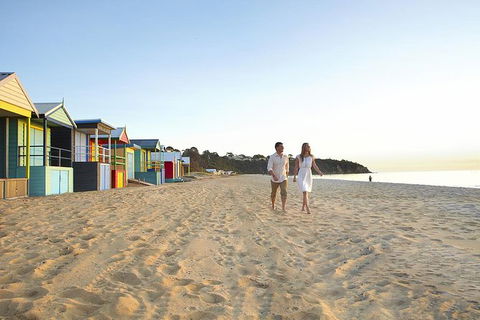 Around The Bay Food And Wine Taste Trail - Accommodation QLD 7