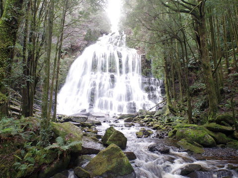 5-Day Best Of Tasmania Tour From Hobart - Accommodation QLD 2