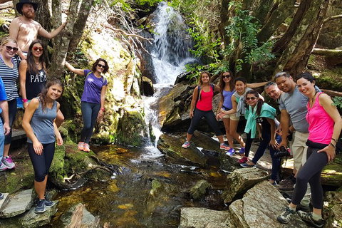 5-Day Best Of Tasmania Tour From Hobart - Accommodation QLD 9