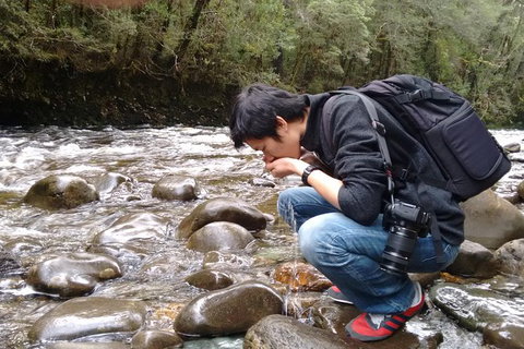 5-Day Best Of Tasmania Tour From Hobart - Accommodation QLD 11