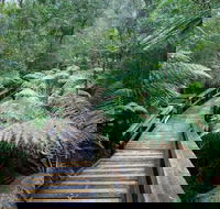 Small-group DayTour from Hobart Hastings Caves Huon Valley and Tahune AirWalk - Accommodation QLD