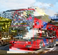 Hobart Hop-on Hop-off Bus Tour - Accommodation QLD