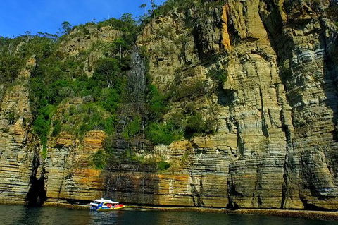 3-Hour Tasman Peninsula Wilderness Cruise From Port Arthur - Accommodation QLD 7