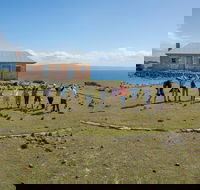 Maria Island Active Day Trip from Hobart - Accommodation QLD