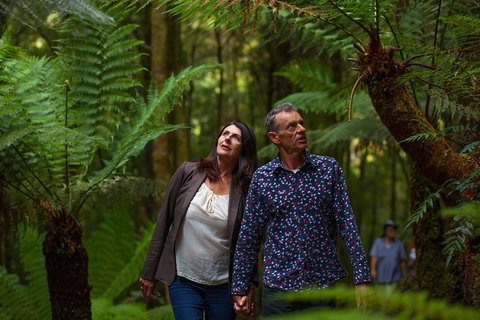 West Coast Wilderness Railway: River And Rainforest From Strahan - Accommodation QLD 1