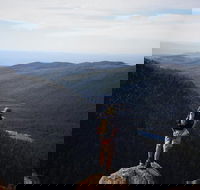 Mount Field National Park - Tarn Shelf  Russell Falls - Guided Hiking Tour - Accommodation QLD