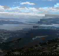 Mount Wellington Tour from Hobart - Accommodation QLD