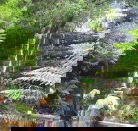 Mt Field National Park and Russell Falls from Hobart - Accommodation QLD