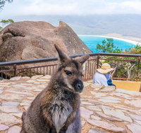 Wineglass Bay  Freycinet NP Full Day Tour from Hobart via Richmond Village - Accommodation QLD