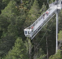 Cruise Ship Special from Hobart Mt Wellington and Tahune AirWalk - Accommodation QLD