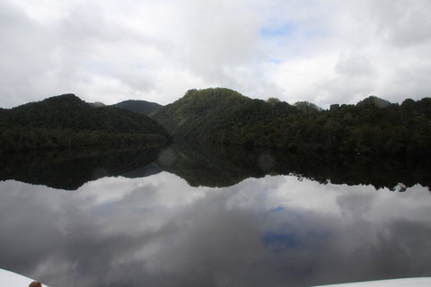 Gordon River Cruise Departing From Strahan - Accommodation QLD 18