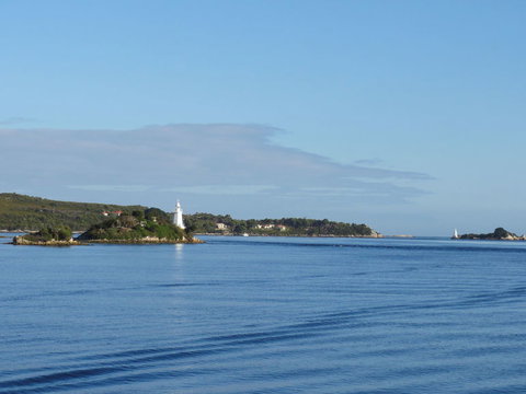Gordon River Cruise Departing From Strahan - Accommodation QLD 8