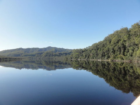 Gordon River Cruise Departing From Strahan - Accommodation QLD 7