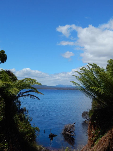 Gordon River Cruise Departing From Strahan - Accommodation QLD 20