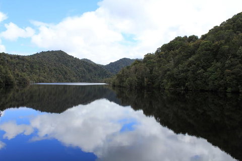 Gordon River Cruise Departing From Strahan - Accommodation QLD 21