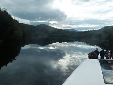 Gordon River Cruise Departing From Strahan - Accommodation QLD 15