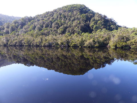 Gordon River Cruise Departing From Strahan - Accommodation QLD 4