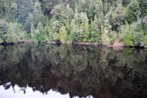 Gordon River Cruise Departing From Strahan - Accommodation QLD 24