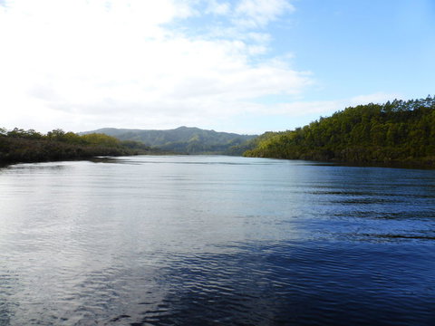 Gordon River Cruise Departing From Strahan - Accommodation QLD 10