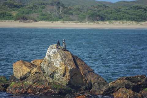 Gordon River Cruise Departing From Strahan - Accommodation QLD 11