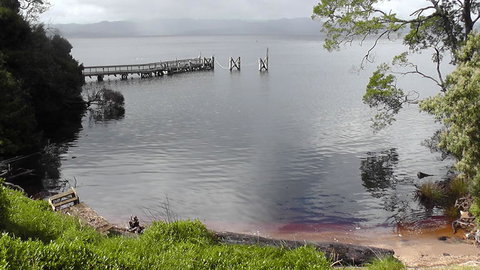 Gordon River Cruise Departing From Strahan - Accommodation QLD 22
