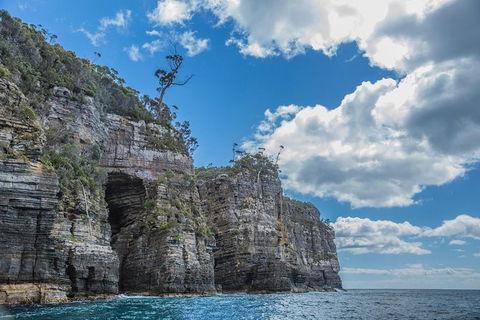 Shore Excursion - Port Arthur - Tasman Peninsula - Accommodation QLD 1