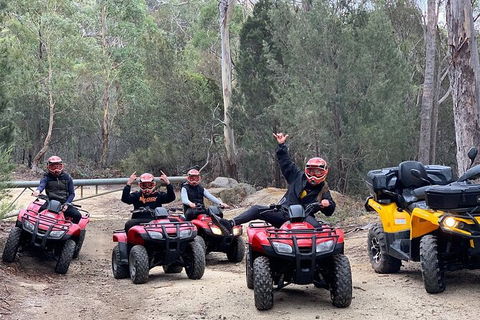 Quad Bike 2-Hour Adventure: Freycinet National Park - Accommodation QLD 4