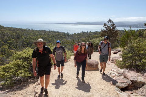 Active Day Tour One-Way From Hobart To Launceston With Wineglass Bay - Accommodation QLD 1