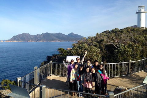 Active Day Tour One-Way From Hobart To Launceston With Wineglass Bay - Accommodation QLD 6