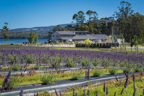 Private Tasman Peninsula Cruise Ship Tour From Port Arthur - Accommodation QLD 0