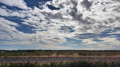 Barossa Valley Full-Day Tour From Adelaide With Maggie Beer Farm - Accommodation QLD 3